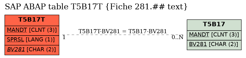 E-R Diagram for table T5B17T (Fiche 281.## text)