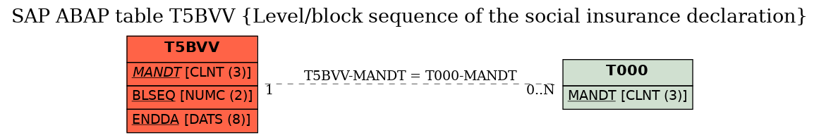 E-R Diagram for table T5BVV (Level/block sequence of the social insurance declaration)