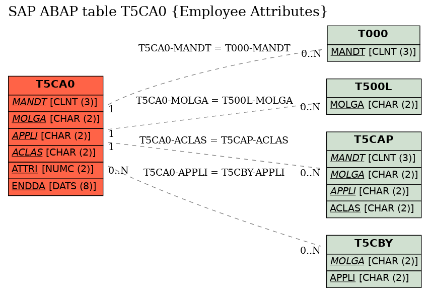 E-R Diagram for table T5CA0 (Employee Attributes)