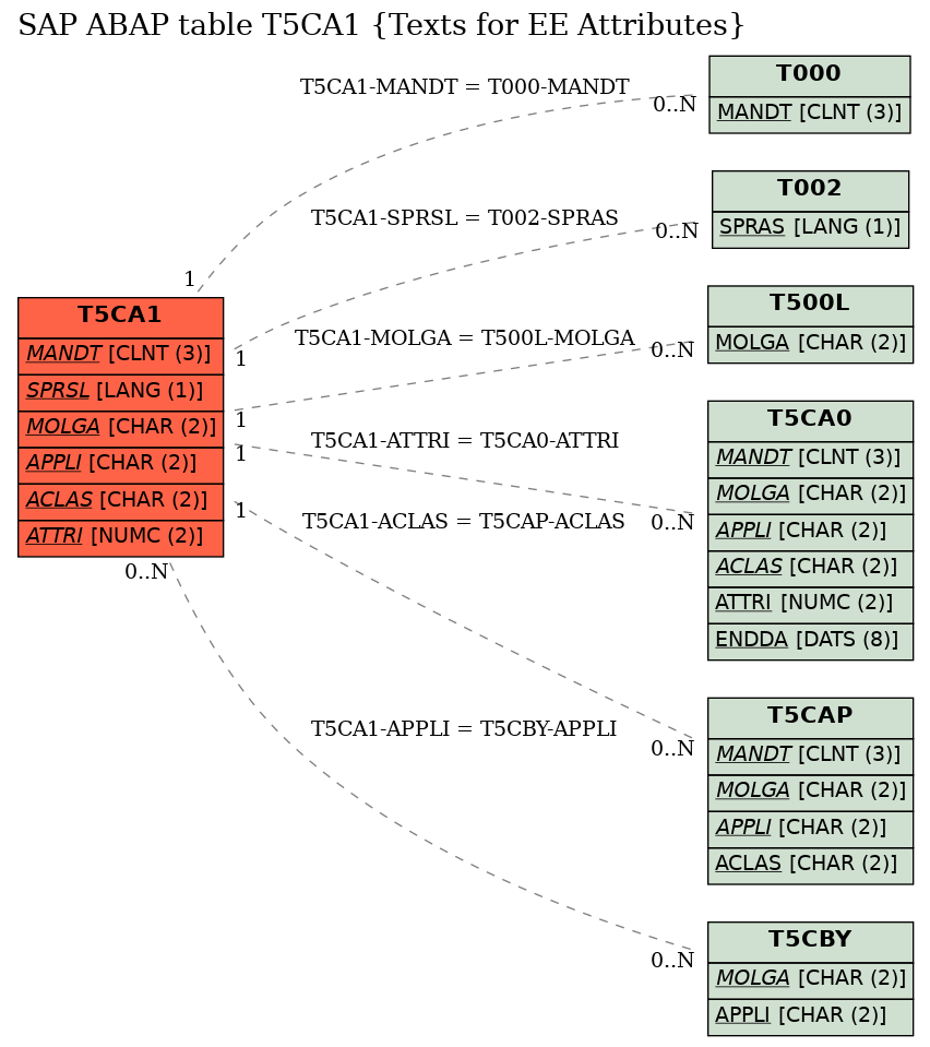 E-R Diagram for table T5CA1 (Texts for EE Attributes)