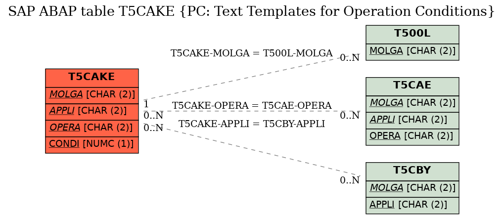 E-R Diagram for table T5CAKE (PC: Text Templates for Operation Conditions)