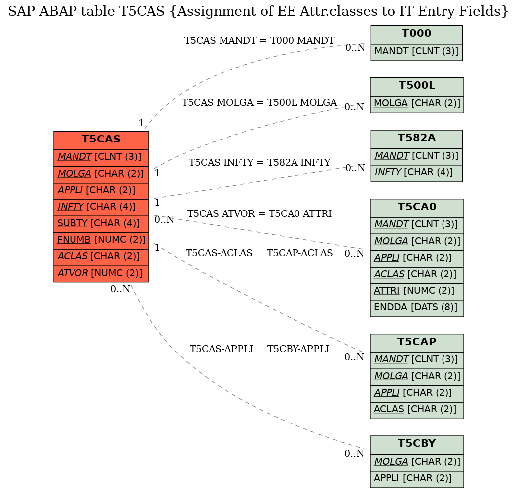 E-R Diagram for table T5CAS (Assignment of EE Attr.classes to IT Entry Fields)