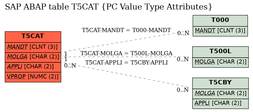 E-R Diagram for table T5CAT (PC Value Type Attributes)