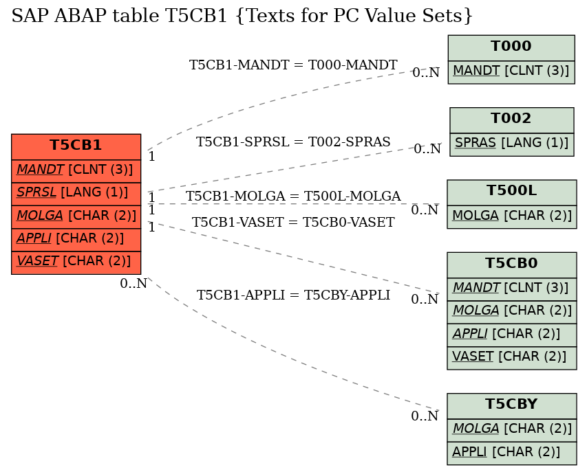 E-R Diagram for table T5CB1 (Texts for PC Value Sets)