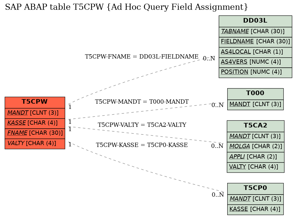 E-R Diagram for table T5CPW (Ad Hoc Query Field Assignment)