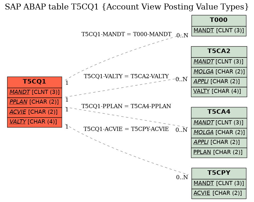 E-R Diagram for table T5CQ1 (Account View Posting Value Types)