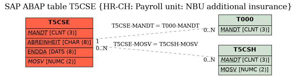 E-R Diagram for table T5CSE (HR-CH: Payroll unit: NBU additional insurance)