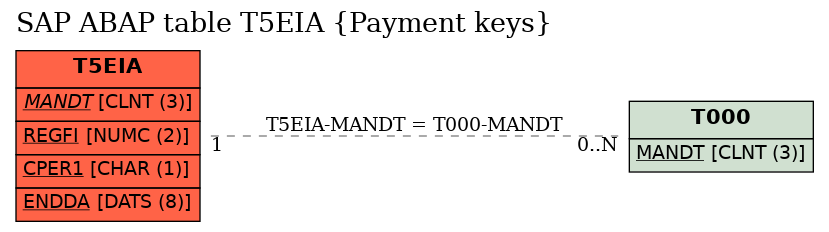 E-R Diagram for table T5EIA (Payment keys)