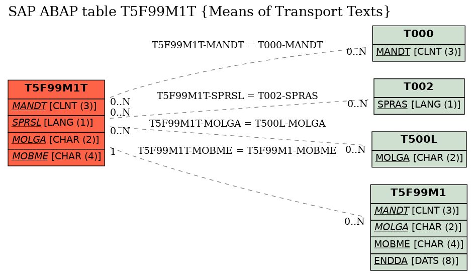 E-R Diagram for table T5F99M1T (Means of Transport Texts)