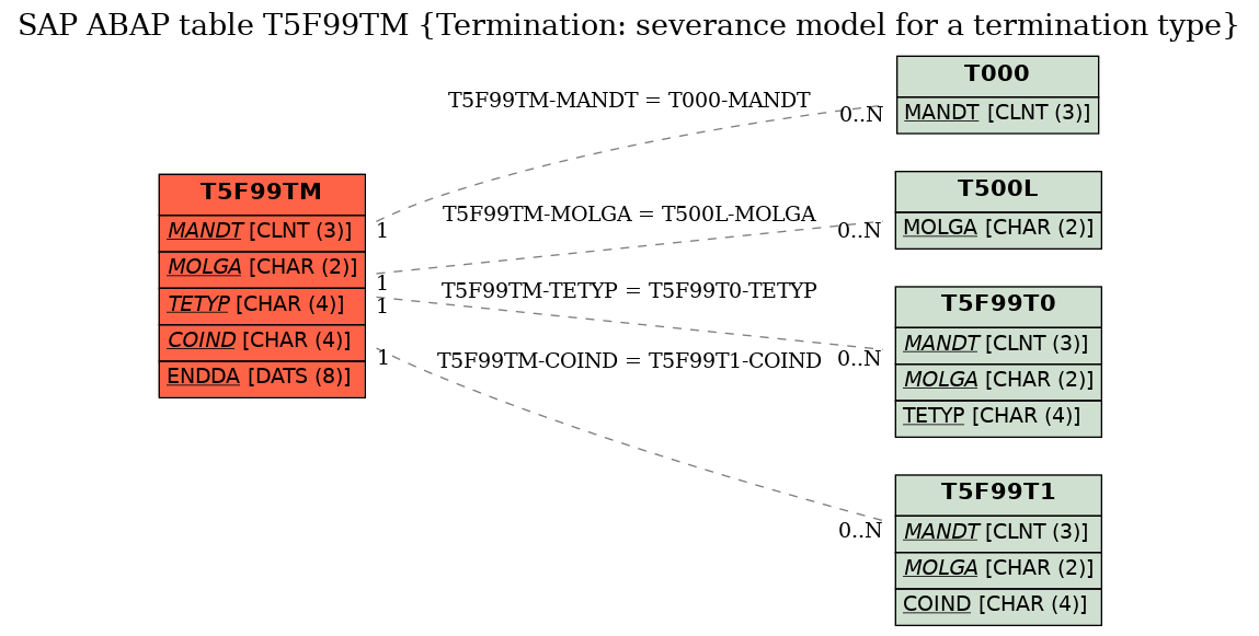 E-R Diagram for table T5F99TM (Termination: severance model for a termination type)