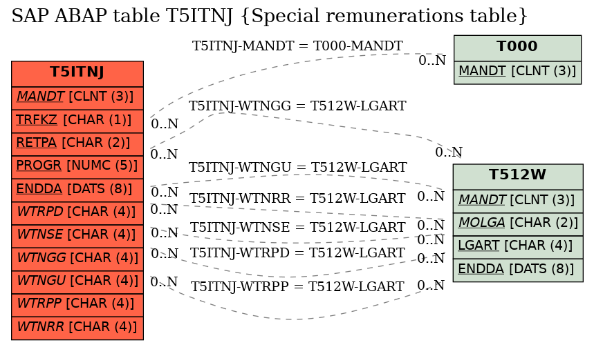 E-R Diagram for table T5ITNJ (Special remunerations table)