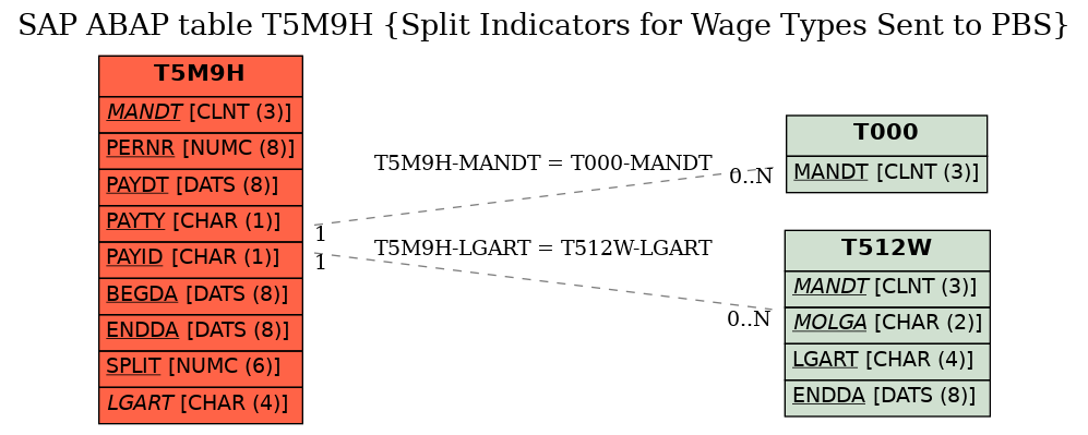 E-R Diagram for table T5M9H (Split Indicators for Wage Types Sent to PBS)