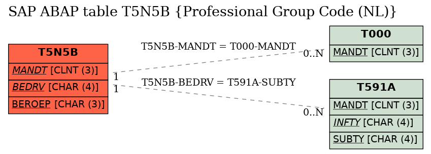 E-R Diagram for table T5N5B (Professional Group Code (NL))