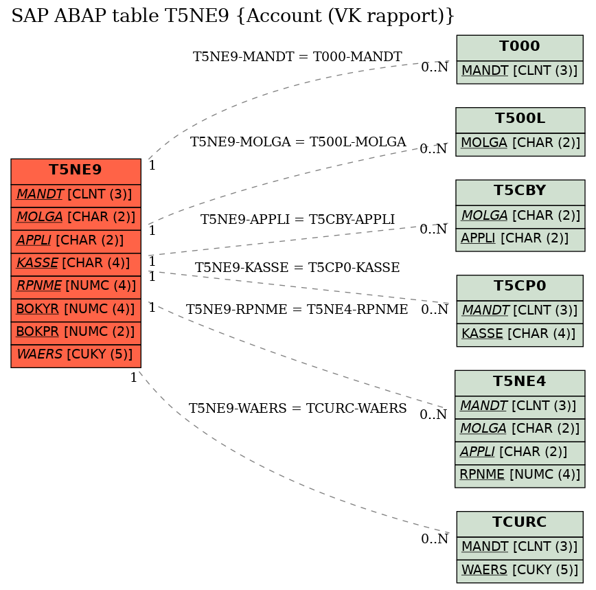 E-R Diagram for table T5NE9 (Account (VK rapport))