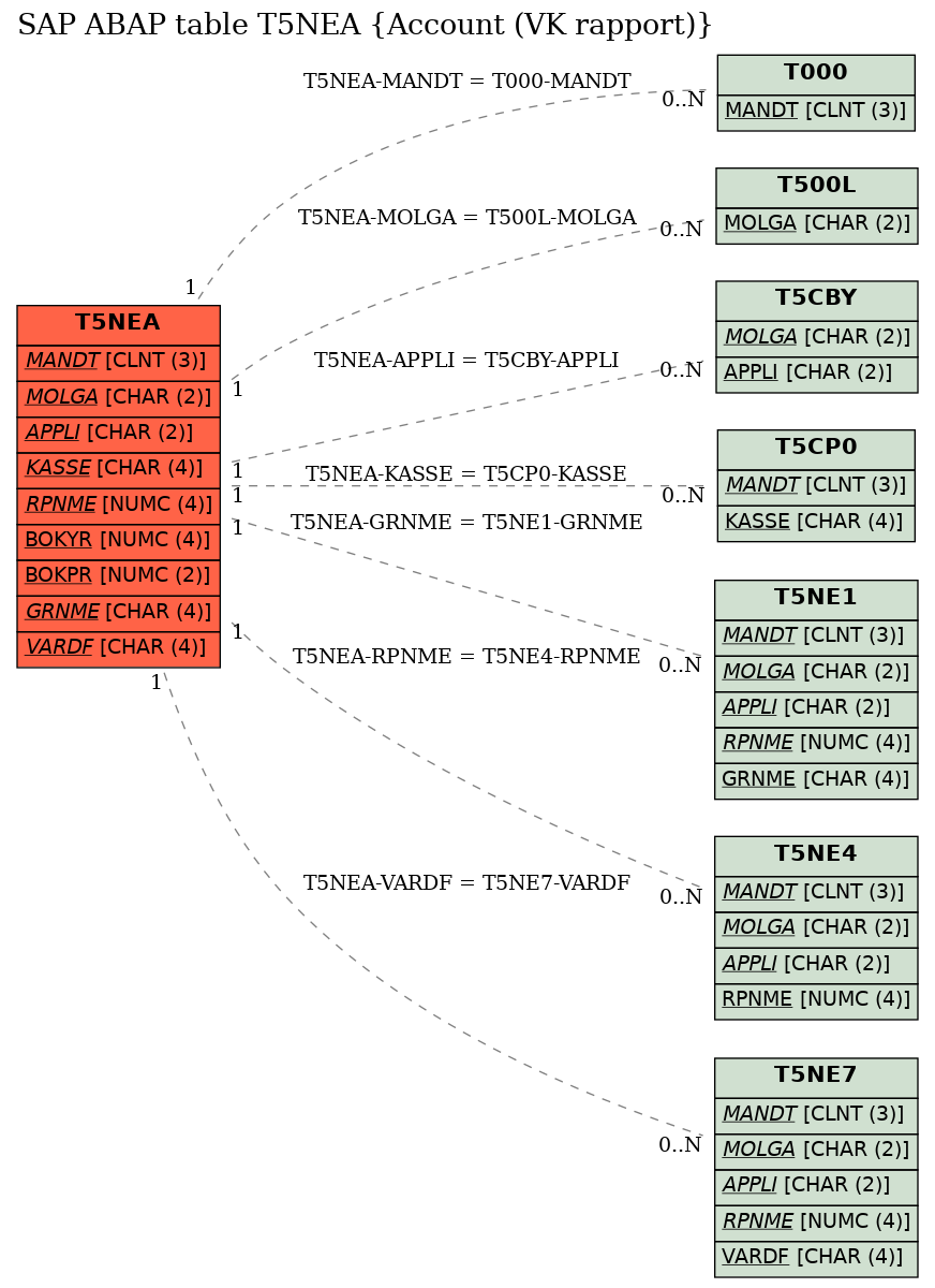 E-R Diagram for table T5NEA (Account (VK rapport))