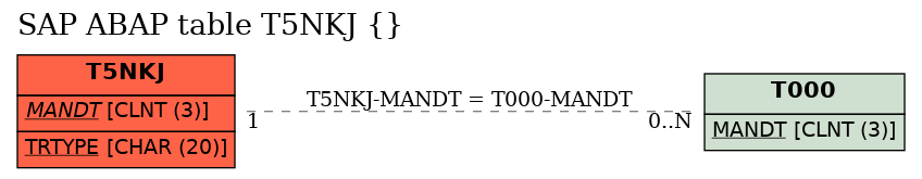 E-R Diagram for table T5NKJ ()