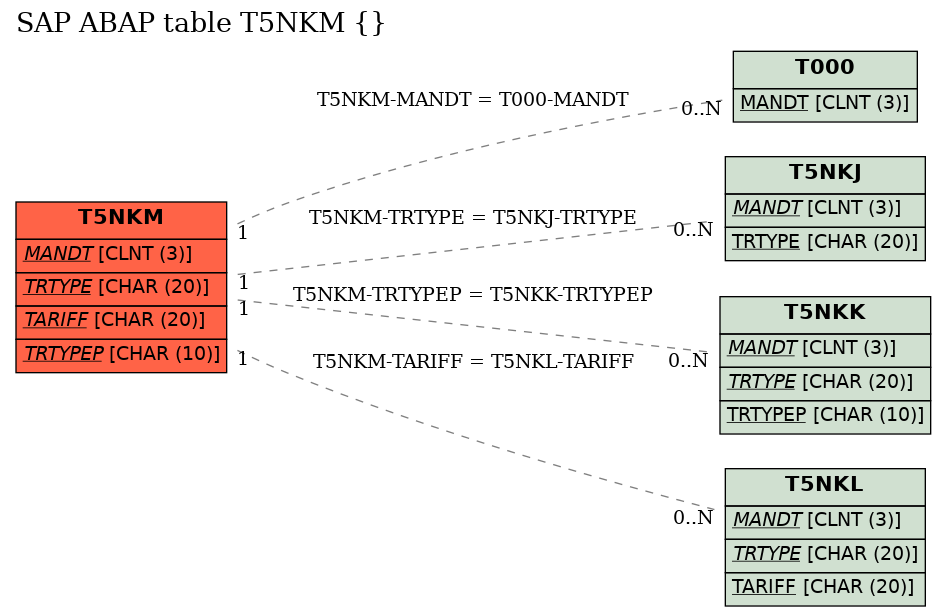 E-R Diagram for table T5NKM ()