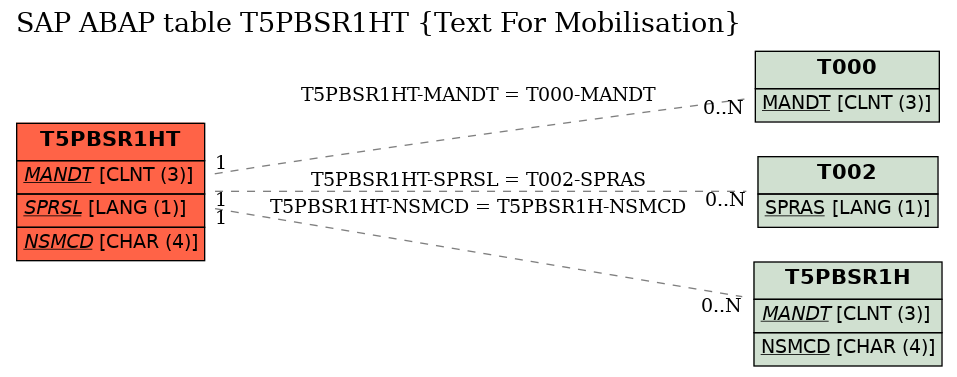 E-R Diagram for table T5PBSR1HT (Text For Mobilisation)