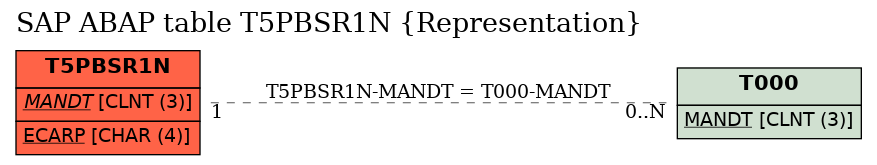 E-R Diagram for table T5PBSR1N (Representation)