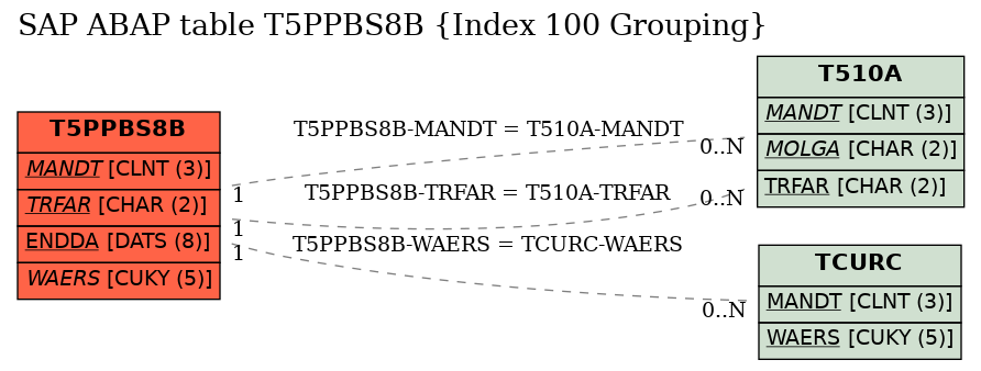 E-R Diagram for table T5PPBS8B (Index 100 Grouping)