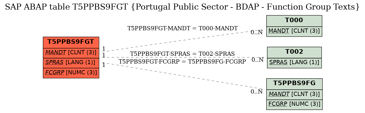 E-R Diagram for table T5PPBS9FGT (Portugal Public Sector - BDAP - Function Group Texts)