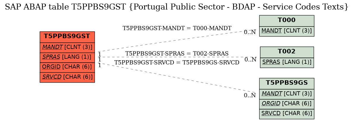 E-R Diagram for table T5PPBS9GST (Portugal Public Sector - BDAP - Service Codes Texts)