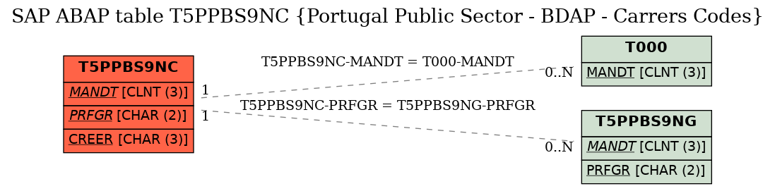 E-R Diagram for table T5PPBS9NC (Portugal Public Sector - BDAP - Carrers Codes)