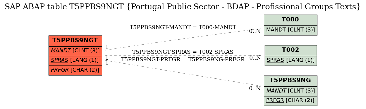 E-R Diagram for table T5PPBS9NGT (Portugal Public Sector - BDAP - Profissional Groups Texts)