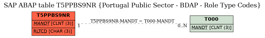 E-R Diagram for table T5PPBS9NR (Portugal Public Sector - BDAP - Role Type Codes)