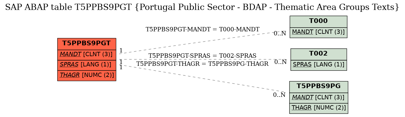 E-R Diagram for table T5PPBS9PGT (Portugal Public Sector - BDAP - Thematic Area Groups Texts)