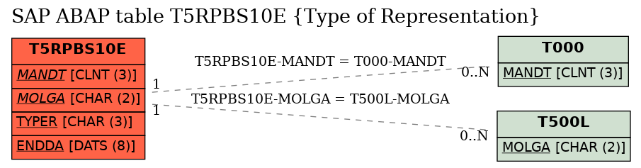 E-R Diagram for table T5RPBS10E (Type of Representation)