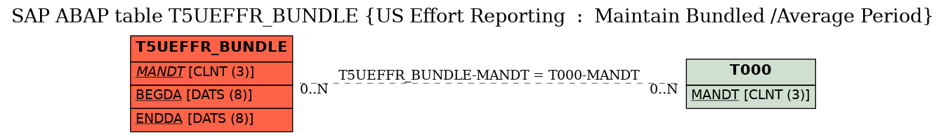 E-R Diagram for table T5UEFFR_BUNDLE (US Effort Reporting  :  Maintain Bundled /Average Period)