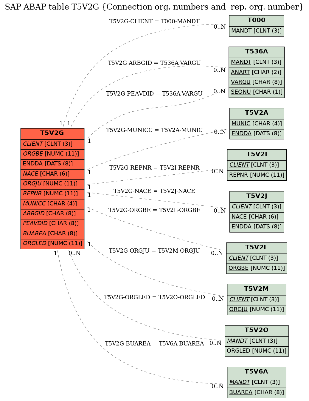 E-R Diagram for table T5V2G (Connection org. numbers and  rep. org. number)