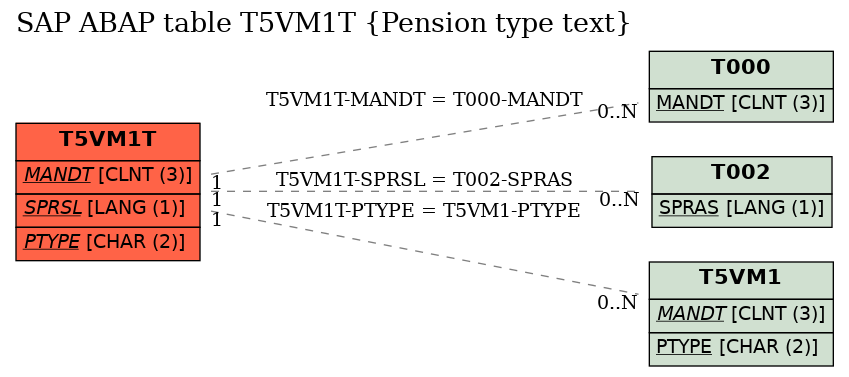 E-R Diagram for table T5VM1T (Pension type text)