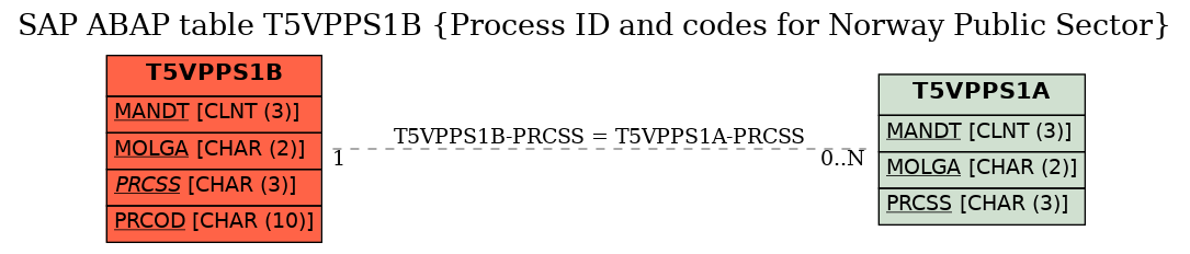 E-R Diagram for table T5VPPS1B (Process ID and codes for Norway Public Sector)