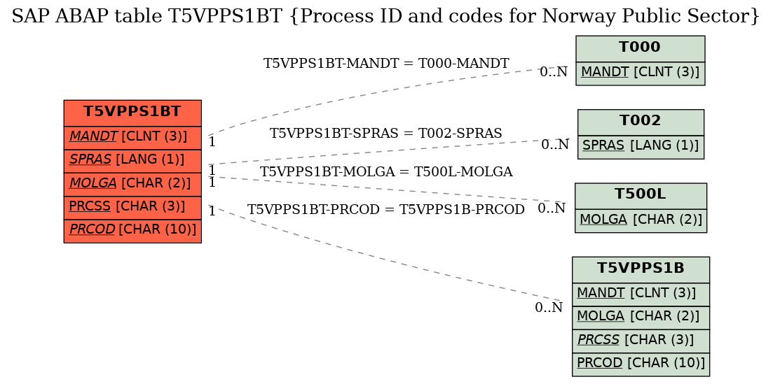 E-R Diagram for table T5VPPS1BT (Process ID and codes for Norway Public Sector)