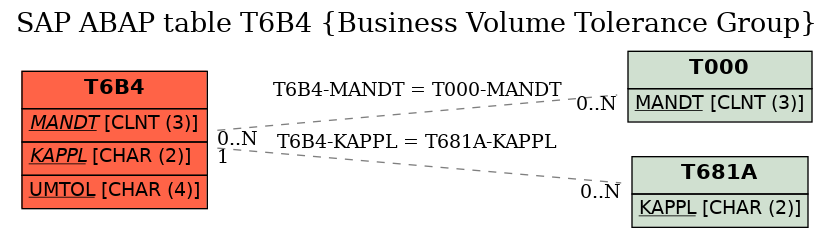 E-R Diagram for table T6B4 (Business Volume Tolerance Group)