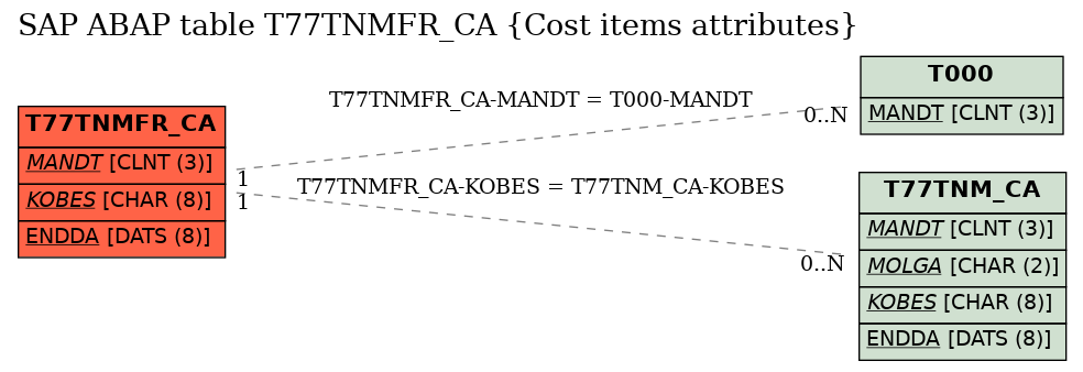 E-R Diagram for table T77TNMFR_CA (Cost items attributes)