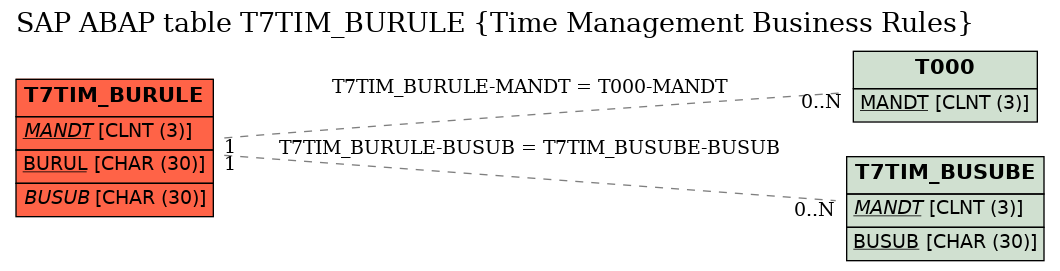 E-R Diagram for table T7TIM_BURULE (Time Management Business Rules)