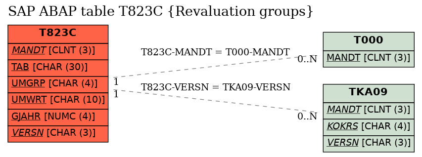 E-R Diagram for table T823C (Revaluation groups)