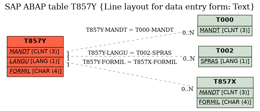 E-R Diagram for table T857Y (Line layout for data entry form: Text)