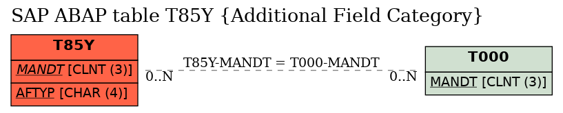 E-R Diagram for table T85Y (Additional Field Category)