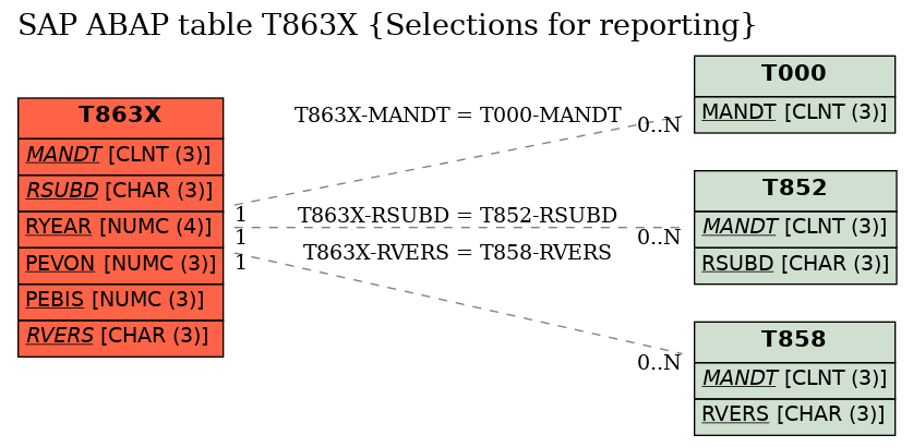 E-R Diagram for table T863X (Selections for reporting)