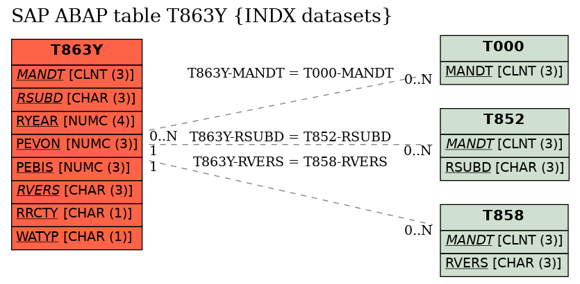 E-R Diagram for table T863Y (INDX datasets)