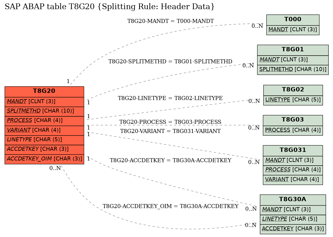 E-R Diagram for table T8G20 (Splitting Rule: Header Data)