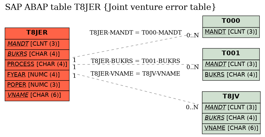 E-R Diagram for table T8JER (Joint venture error table)