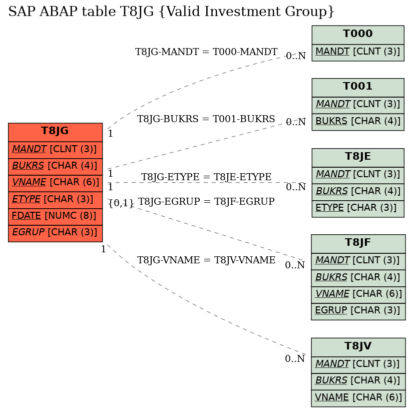 E-R Diagram for table T8JG (Valid Investment Group)