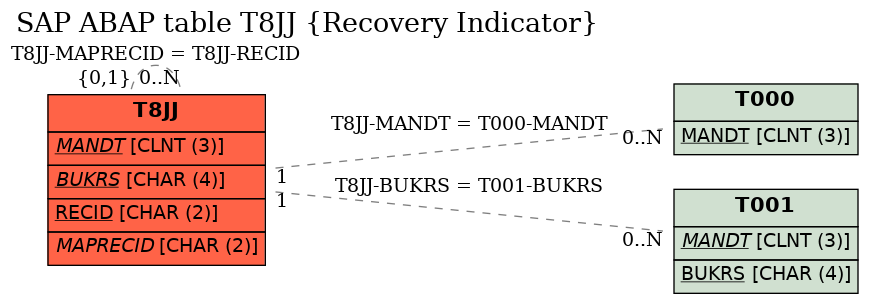 E-R Diagram for table T8JJ (Recovery Indicator)