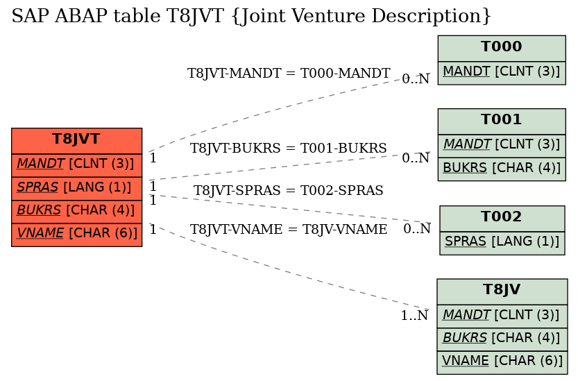 E-R Diagram for table T8JVT (Joint Venture Description)