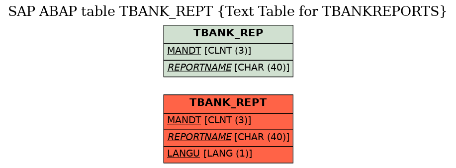 E-R Diagram for table TBANK_REPT (Text Table for TBANKREPORTS)